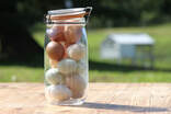 A vintage mason jar filled with multi-colored pastured heritage and rare breed eggs.