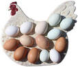 An egg platter showcasing some Spring Creek multi-colored or rainbow eggs.