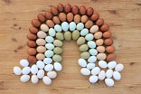 Lots of multi-colored eggs forming a rainbow and placed on a wooden farm table.